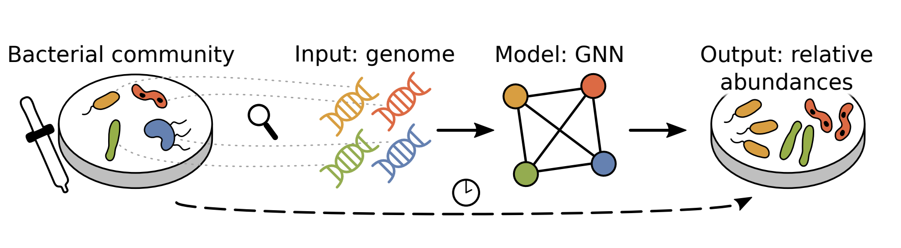 microbe_gnn.png